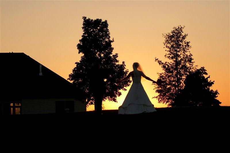 Before The Wedding Guide